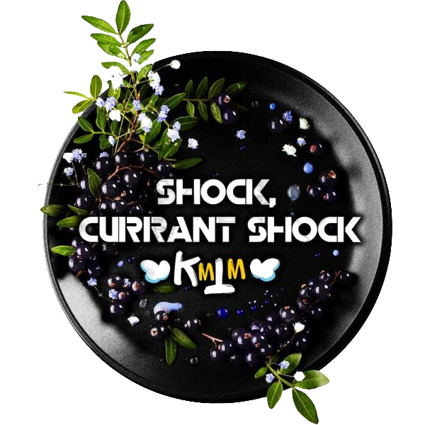 BLACKBURN SHOK CURRANT SHOK KMTM 25g
